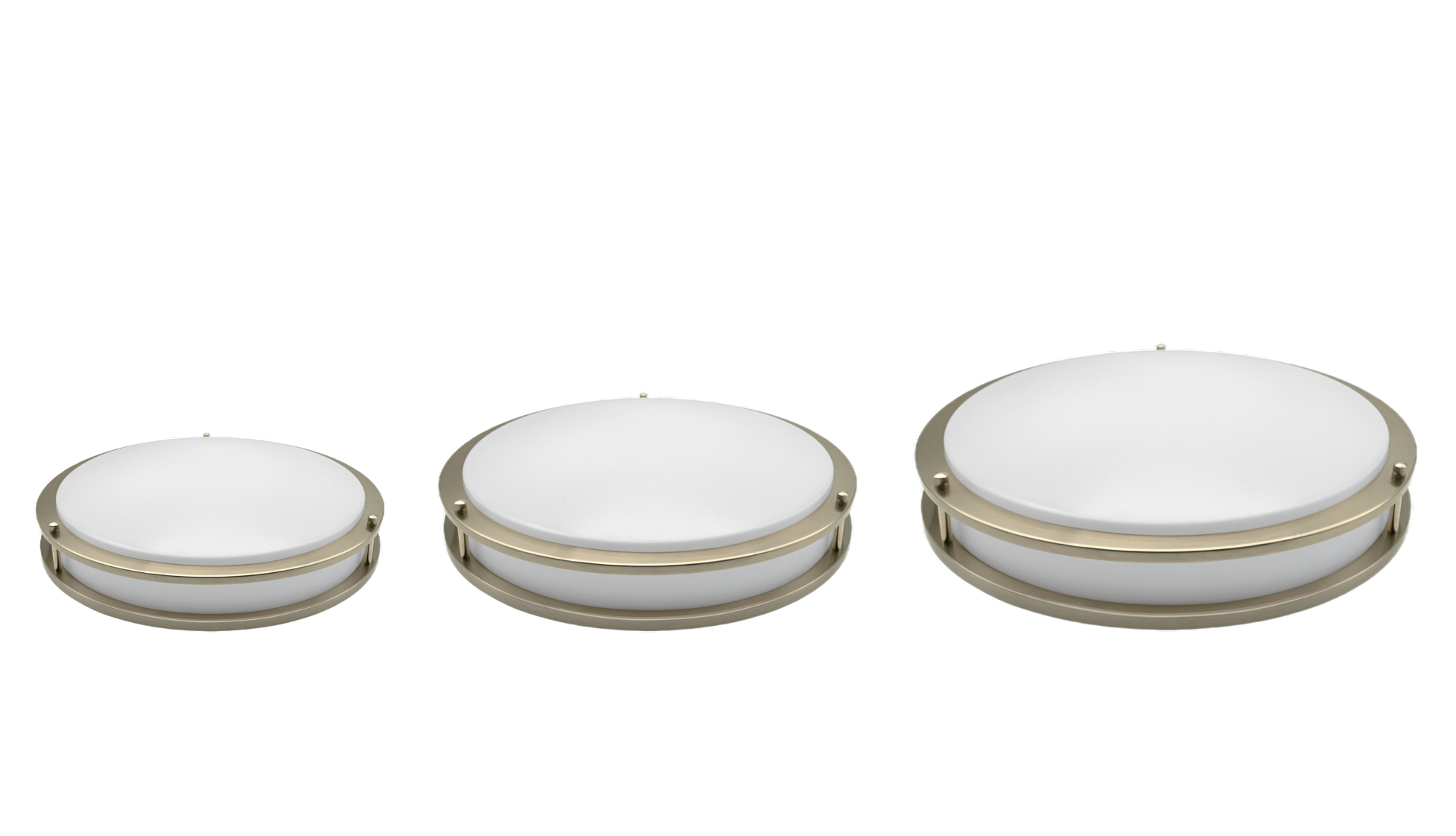 Double Rings Ceiling Light